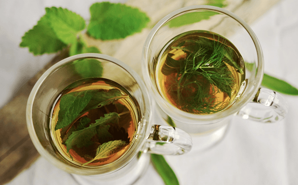 4 Myths About Herbal Medicine We Need to Dispel