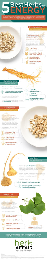 5 Best Herbs for Energy (Infographic)