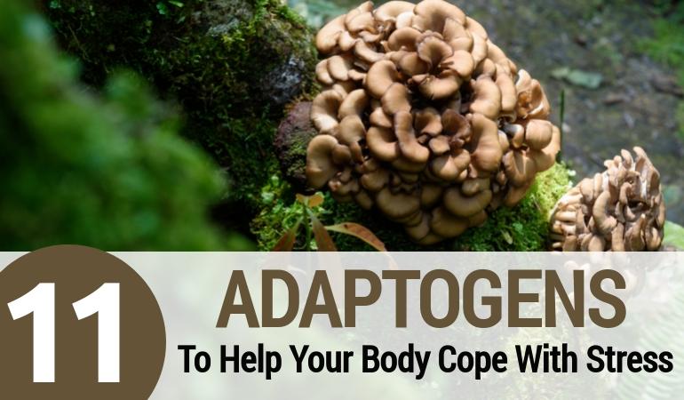 Top 11 Adaptogens to Help The Body Cope With Stress
