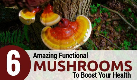 6 Amazing Functional Mushrooms to Boost Your Health