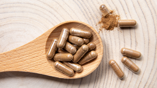 Herbal powder capsules on a wooden spoon. Fill your own capsules at home with Herb Affair.