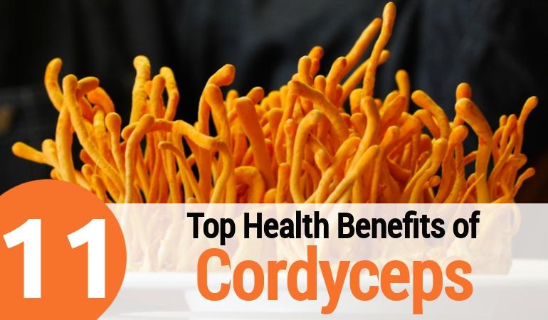Top 11 Health Benefits of Cordyceps Mushroom