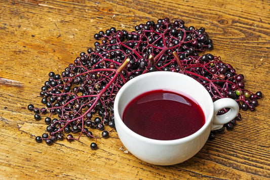 Elderberry Syrup