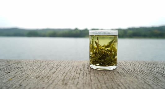 5 Brain-Boosting Herbs