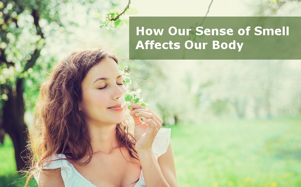 Aromas and Fragrances: How Our Sense of Smell  Affects Our Body