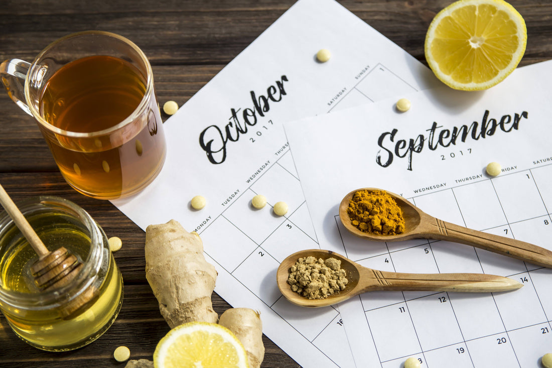 Top 4 Herbs For Immune Function (Plus A Bonus!)