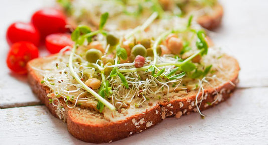 Veggie Sandwich