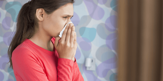 Best Herbs to Fight the Common Cold