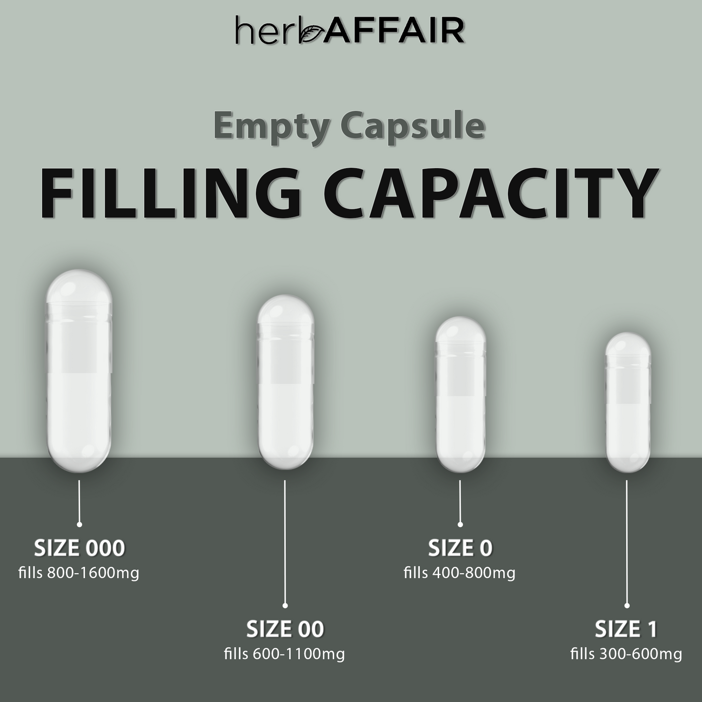Empty Capsule Subscription