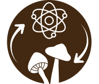 feature-icon