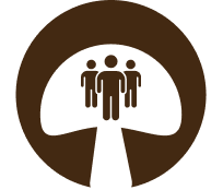feature-icon
