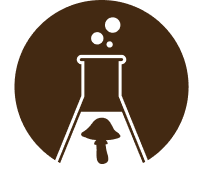 feature-icon