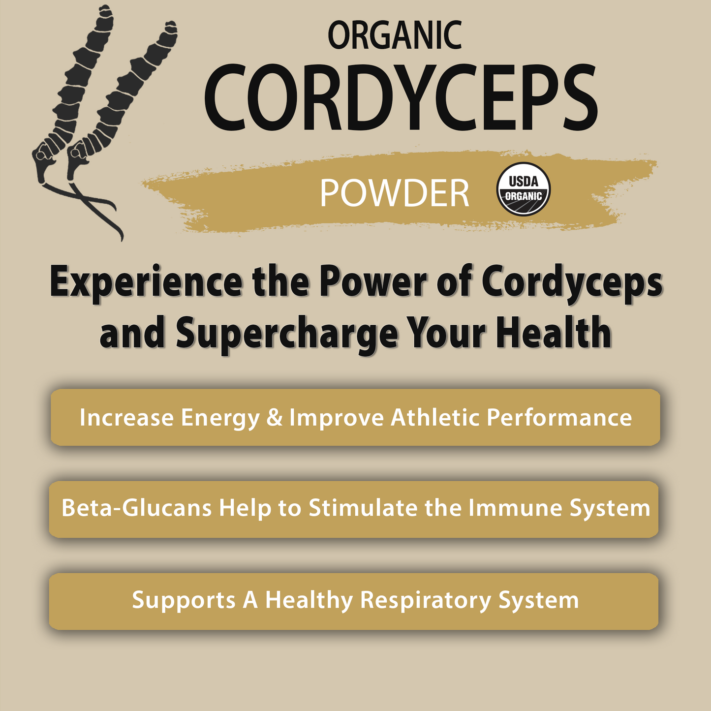 Organic Cordyceps Mushroom Powder (7.05 oz)
